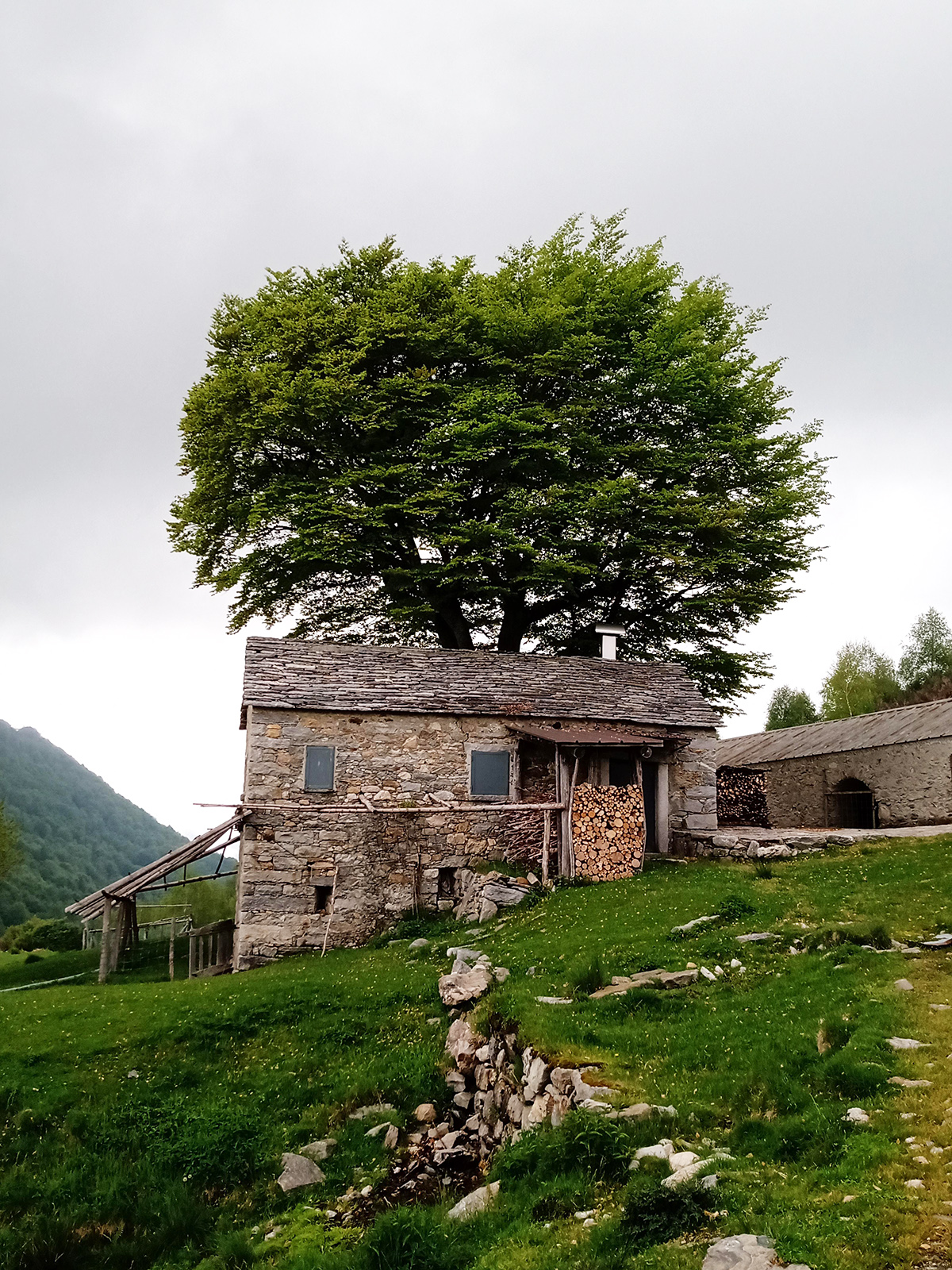 Le pietre che incontri: trekking sul Lago di Como.