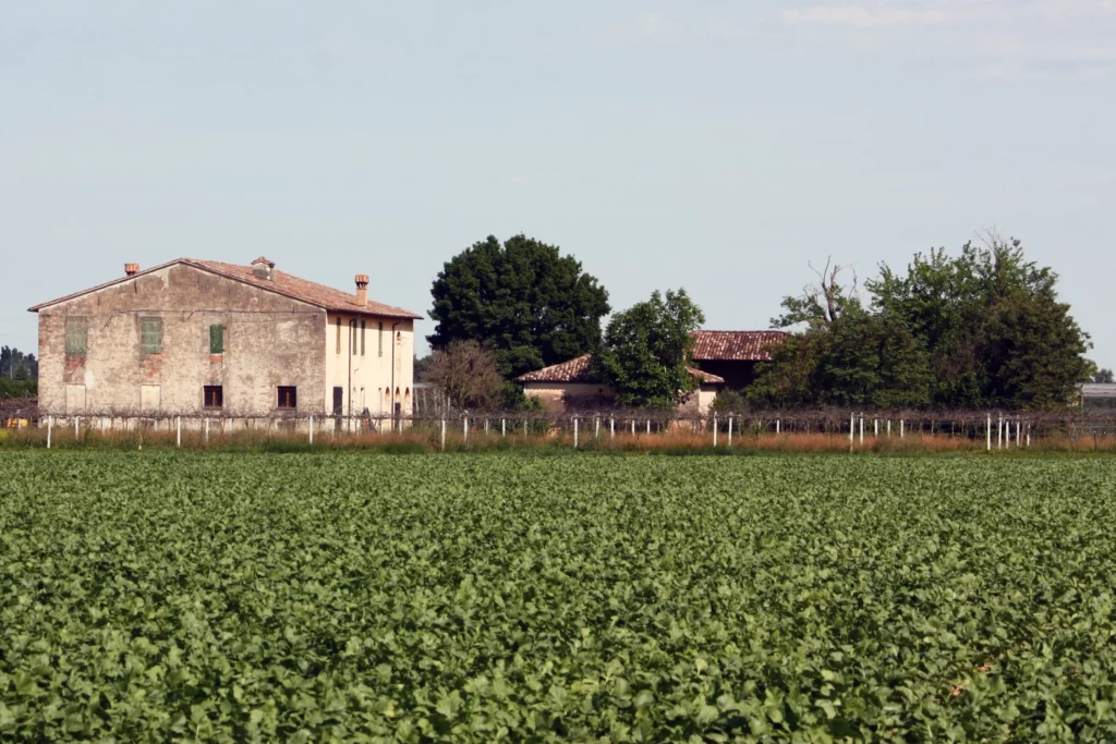 Esempio di casale a corpo unico con archi per stalla e fienile.
